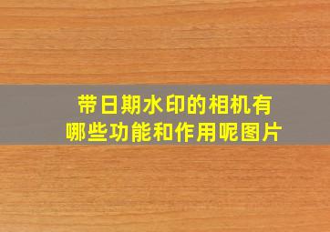 带日期水印的相机有哪些功能和作用呢图片