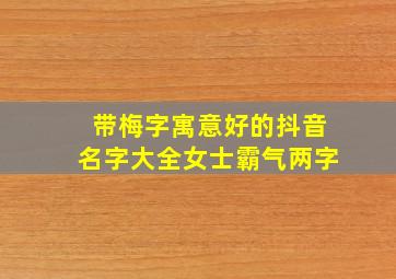 带梅字寓意好的抖音名字大全女士霸气两字