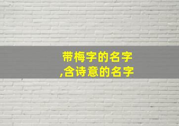 带梅字的名字,含诗意的名字