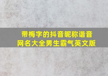 带梅字的抖音昵称谐音网名大全男生霸气英文版