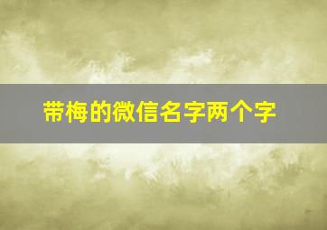 带梅的微信名字两个字