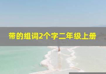 带的组词2个字二年级上册