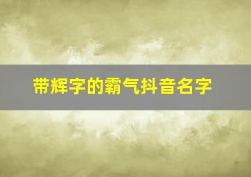 带辉字的霸气抖音名字