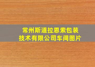 常州斯道拉恩索包装技术有限公司车间图片