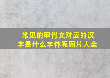 常见的甲骨文对应的汉字是什么字体呢图片大全