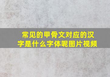 常见的甲骨文对应的汉字是什么字体呢图片视频