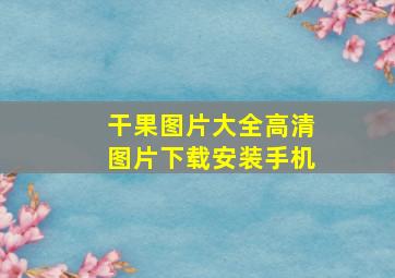 干果图片大全高清图片下载安装手机