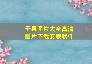 干果图片大全高清图片下载安装软件