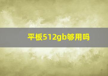 平板512gb够用吗