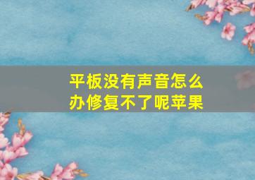 平板没有声音怎么办修复不了呢苹果