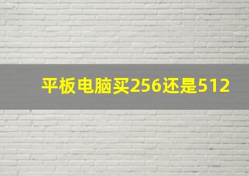 平板电脑买256还是512