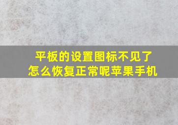 平板的设置图标不见了怎么恢复正常呢苹果手机