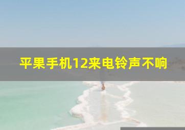 平果手机12来电铃声不响