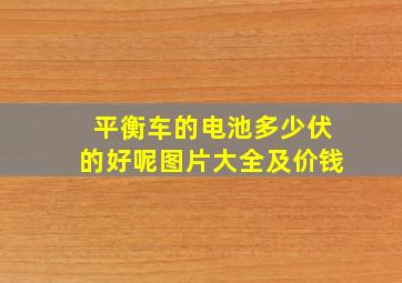 平衡车的电池多少伏的好呢图片大全及价钱