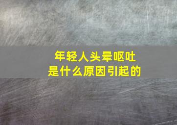 年轻人头晕呕吐是什么原因引起的