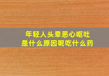 年轻人头晕恶心呕吐是什么原因呢吃什么药