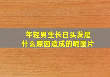 年轻男生长白头发是什么原因造成的呢图片