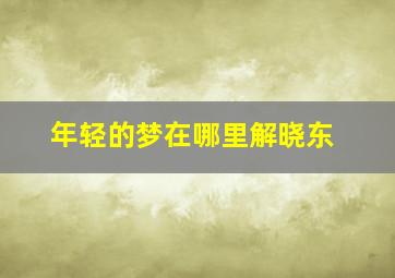 年轻的梦在哪里解晓东