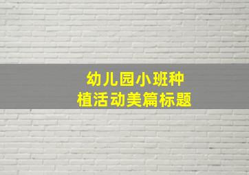 幼儿园小班种植活动美篇标题