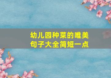 幼儿园种菜的唯美句子大全简短一点