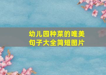 幼儿园种菜的唯美句子大全简短图片