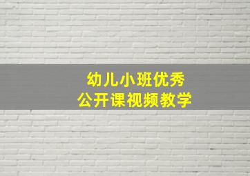 幼儿小班优秀公开课视频教学