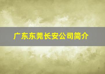 广东东莞长安公司简介