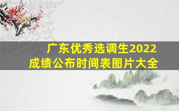 广东优秀选调生2022成绩公布时间表图片大全