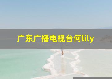 广东广播电视台何lily