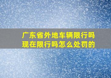 广东省外地车辆限行吗现在限行吗怎么处罚的