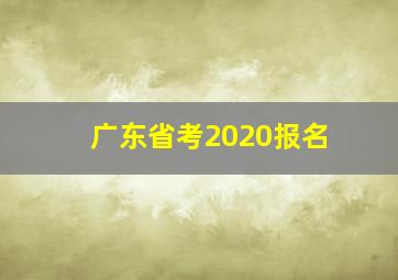 广东省考2020报名