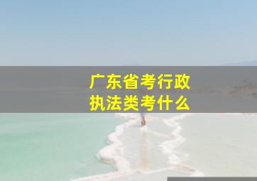 广东省考行政执法类考什么