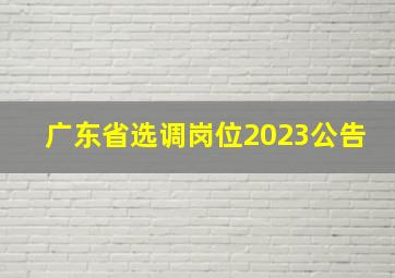 广东省选调岗位2023公告