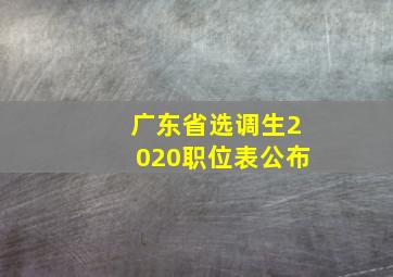 广东省选调生2020职位表公布