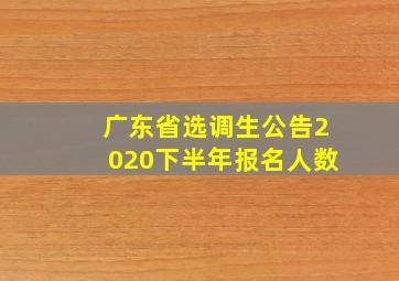 广东省选调生公告2020下半年报名人数