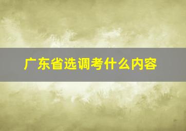 广东省选调考什么内容