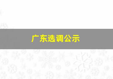 广东选调公示