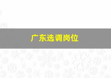 广东选调岗位