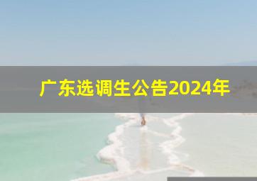 广东选调生公告2024年