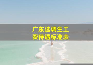 广东选调生工资待遇标准表