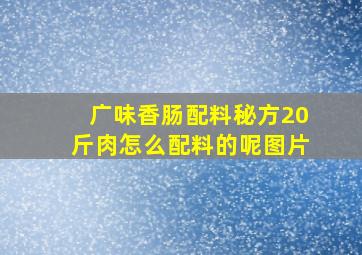 广味香肠配料秘方20斤肉怎么配料的呢图片