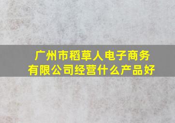 广州市稻草人电子商务有限公司经营什么产品好