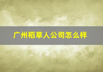 广州稻草人公司怎么样