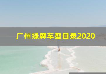 广州绿牌车型目录2020