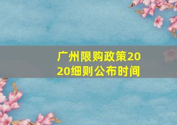 广州限购政策2020细则公布时间