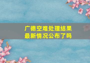 广德空难处理结果最新情况公布了吗