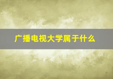 广播电视大学属于什么