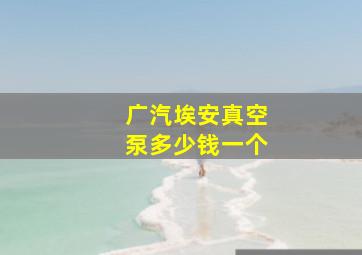 广汽埃安真空泵多少钱一个