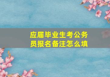 应届毕业生考公务员报名备注怎么填