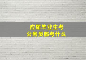 应届毕业生考公务员都考什么